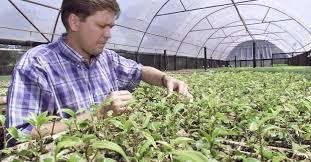 Alfag do Brasil celebra a Semana do Agrônomo